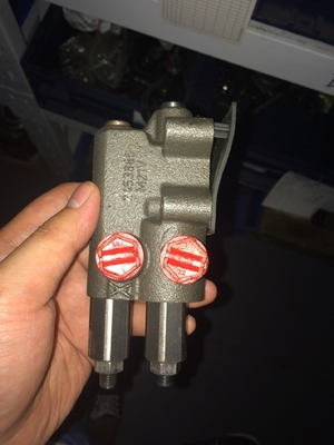 Pompes hydrauliques de la série A10vg A4vg180 A4vg90 A4vg45 A10V028 pour les pistons des grues à rampe