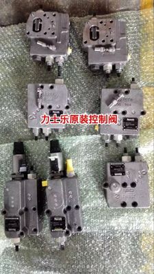 L'huile A11vo145 Lrds Valve pour la valve Rexroth de la marque Made-in-com