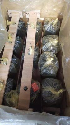 Pompes à piston hydraulique à cylindre unique A10vg28 pour machines de construction à excavatrice