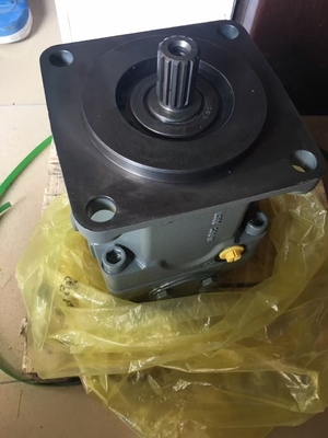 Pompes à pistons hydrauliques en fonte de la série A11vo75 pour les besoins de personnalisation