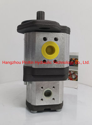 Pompes à engrenages dentés droits pour pompe hydraulique Rexroth Azpnf-11-032011rdc0720kb-S0081