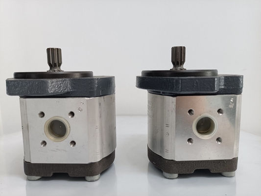 0510765055 Pompe à engrenages hydrauliques avec flanc denté fléchi Azpff-11-022/008rrr2020kb-S0081