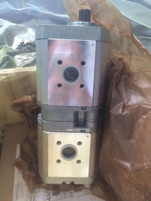 Pompes à engrenages hydrauliques en fonte Azpff-22-019/019LFP2020pb-S0925 avec support de paiement en USD