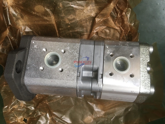 Pompes à engrenages hydrauliques en fonte Azpff-22-019/019LFP2020pb-S0925 avec support de paiement en USD