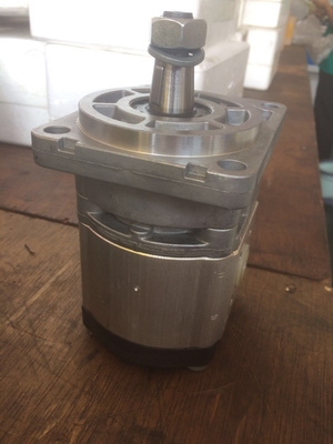 Pompes à engrenages hydrauliques en fonte Azpf-10-019rqrxxmb-S0140 pour les paiements sécurisés