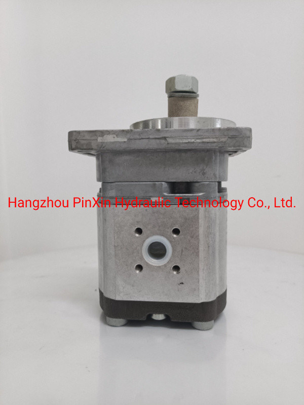 Pompes à engrenages hydrauliques 0511645601 Fabrication de machines Dent flanc Dent droite