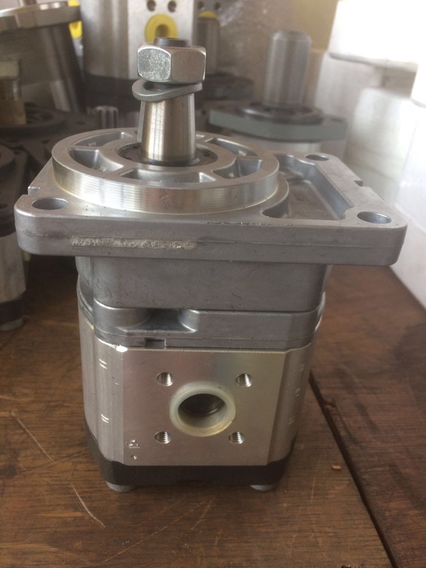 Pompes à engrenages hydrauliques en fonte Azpf-10-019rqrxxmb-S0140 pour les paiements sécurisés